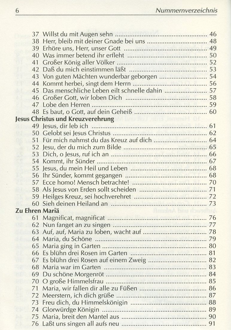 Gott ist mit uns unterwegs. Liederbuch