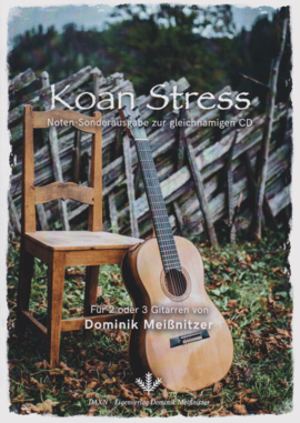 Koan Stress -  Dominik Meißnitzer