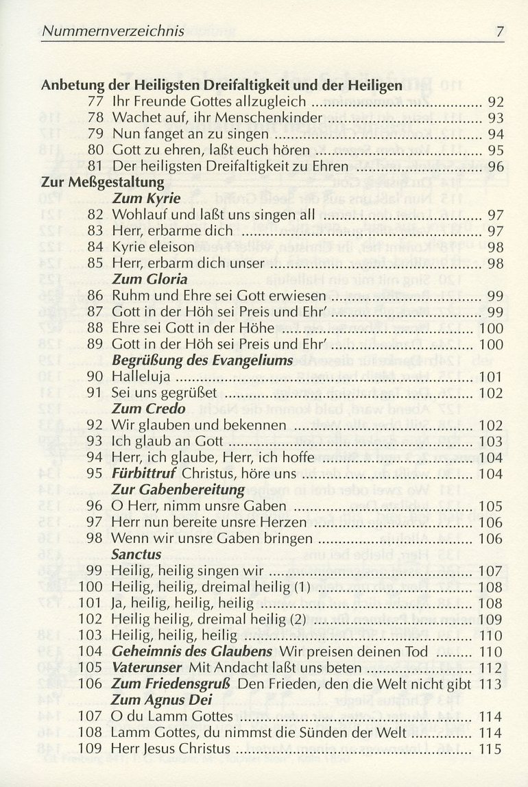 Gott ist mit uns unterwegs. Liederbuch